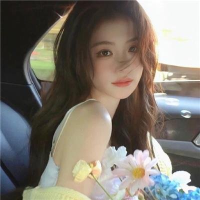 CRISIS 公安机动搜查队特搜组